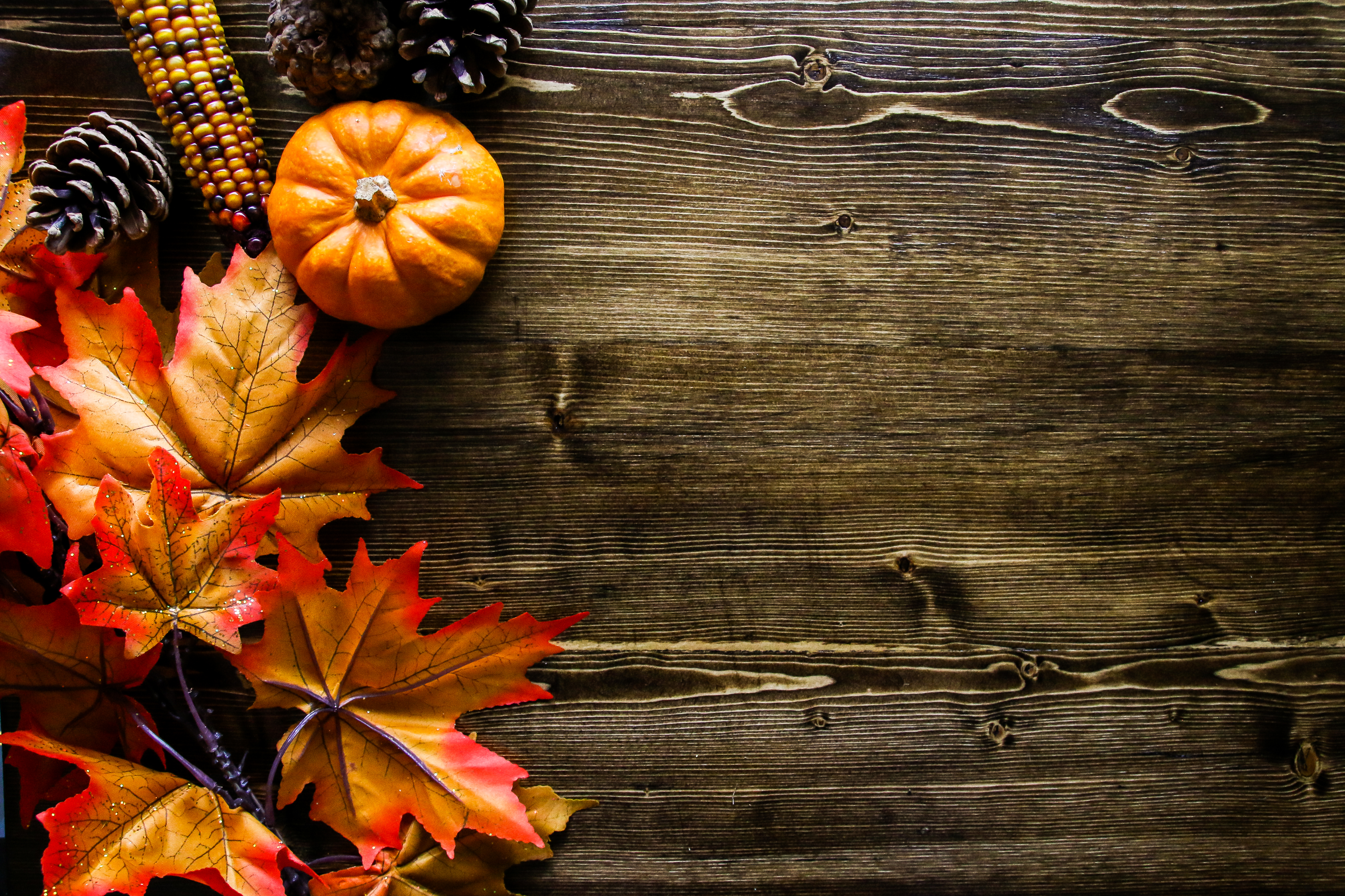 Thanksgiving history trivia questions